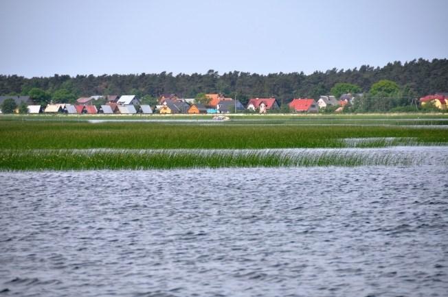 HERRING Tarło śledzia w Zalewie Wiślanym Zalew Wiślany rozciąga się na wschód od ujścia Wisły do Zatoki Gdańskiej, aż do Obwodu Kaliningradzkiego, należącego do