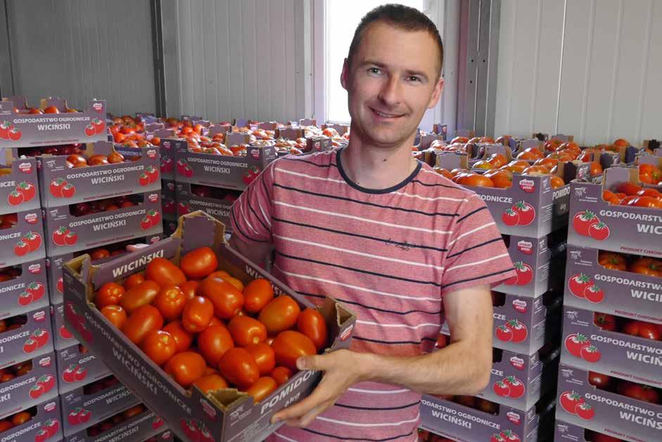 Obecnie mamy znaczący udział pomidorów malinowych oraz innych typów pomidorów o różnych kształtach i kolorach.