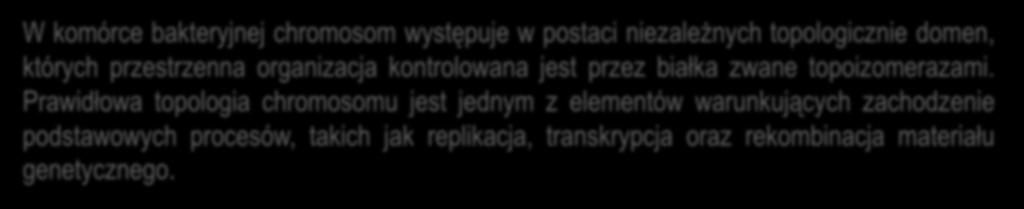 przestrzenna organizacja kontrolowana jest przez