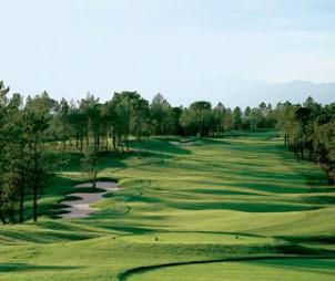 POLA GOLFOWE Tour Course To kolejny projekt hiszpańskiego duetu