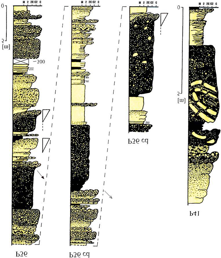 212 P. Strzeboñski Fig. 12.