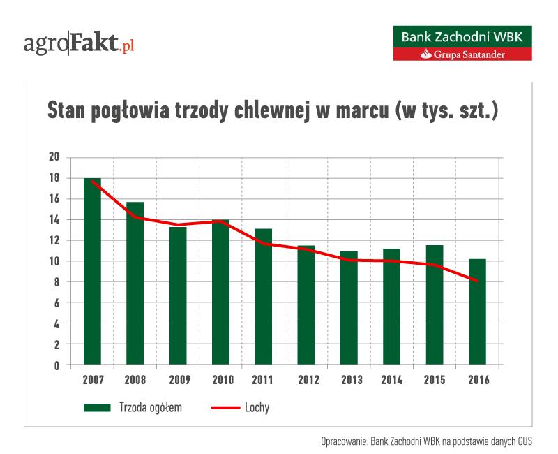 .pl W II połowie 2016 r. produkcja mięsa wieprzowego w krajach Unii spadała, bo redukowano pogłowie loch oraz prosiąt. Na przełomie maja/czerwca 2016 r.