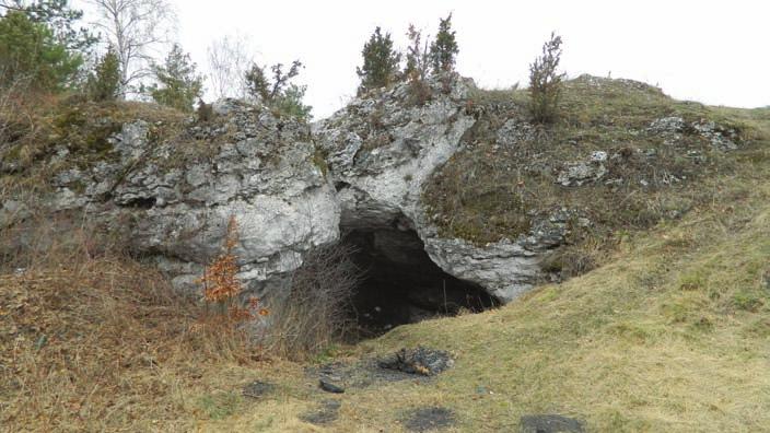 Sudoł) Ryc. 12. Schronisko na Górze Słupsko; widok ogólny (fot.