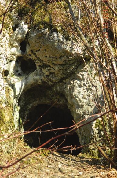 [60] Ryc. 17. Schronisko nad Jaskinią Zegar; otwór wejściowy (fot. M.