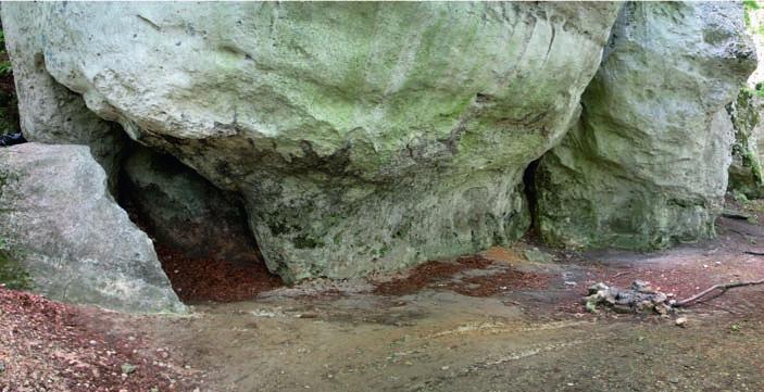 68 Magdalena Sudoł, Krzysztof Cyrek Ryc. 25. Schronisko Krucza Skała; widok ogólny (fot. M. Sudoł) Fig. 25. Shelter in Krucza Skała; general view (photo M.