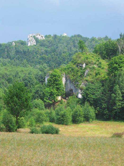 46 Magdalena Sudoł, Krzysztof Cyrek Ryc. 2. Fig. 2. Jaskinia Biśnik; widok od strony doliny (fot. M. Sudoł) Biśnik Cave; view from the valley side (photo M.