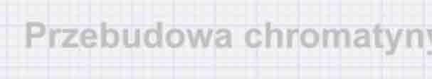 Przebudowa chromatyny zależna od ATP (chromatin remodelling) metylacja DNA potranslacyjne modyfikacje histonów przebudowa chromatyny zależna od ATP warianty histonów ncrna histony chromatyna DNA