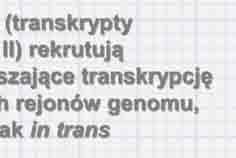 Polycomb group proteins G9a- metylotransferazy histonowe /H3K9/H3K27 XIST inaktywacja chromosomu X u ssaków (dosage