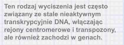 Transkrypcyjne wyciszanie genów (TGS): hc-sirna małe RNA mogą hamować transkrypcję określonych genów poprzez kowalencyjne modyfikacje DNA lub białek histonowych transkrypcja białka