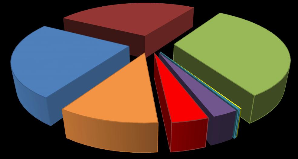 Wykres 3. Środki wydatkowane z rezerwy Ministra według form aktywizacji zawodowej w 2013 roku (w %).