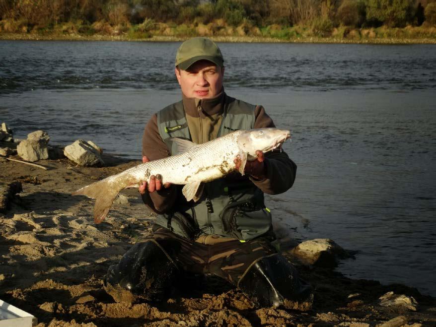 4. Mistrzostwa Okręgu w dyscyplinie spinningowej.