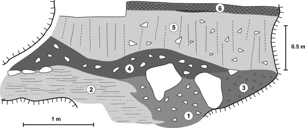 Based on the preliminary analysis, particular layers of the sediments were found to be much varied lithologically (Mirosław-Grabowska 1995).