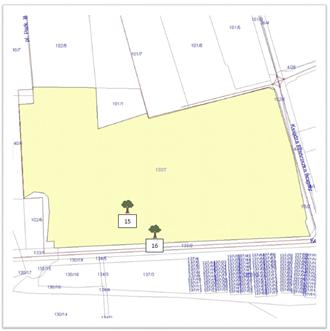 Drzewa nr 15, 16 - działka nr 102/7 (GPS nr 15: