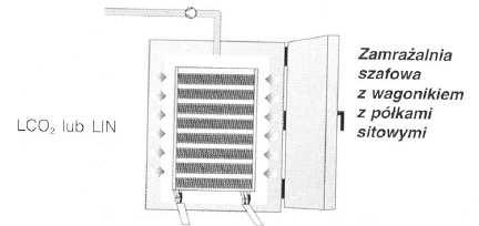 zostają w niej zamroŝone pod wpływem cyrkulującego czynnika chłodzącego.