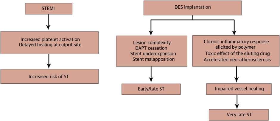 Increased Risk of ST Due to Increased Platelet Activity and Delayed