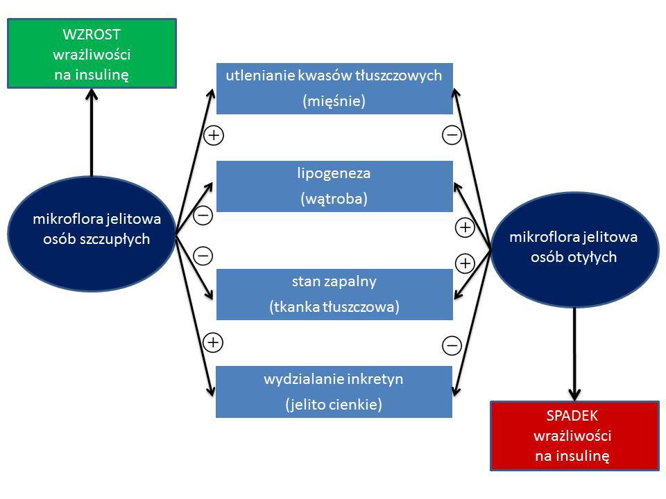 Postepy Hig Med Dosw (online), 2013; tom 67: 288-303 Ryc. 5.