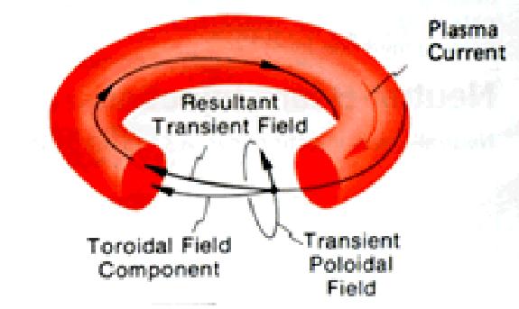 TOKAMAK c.d.