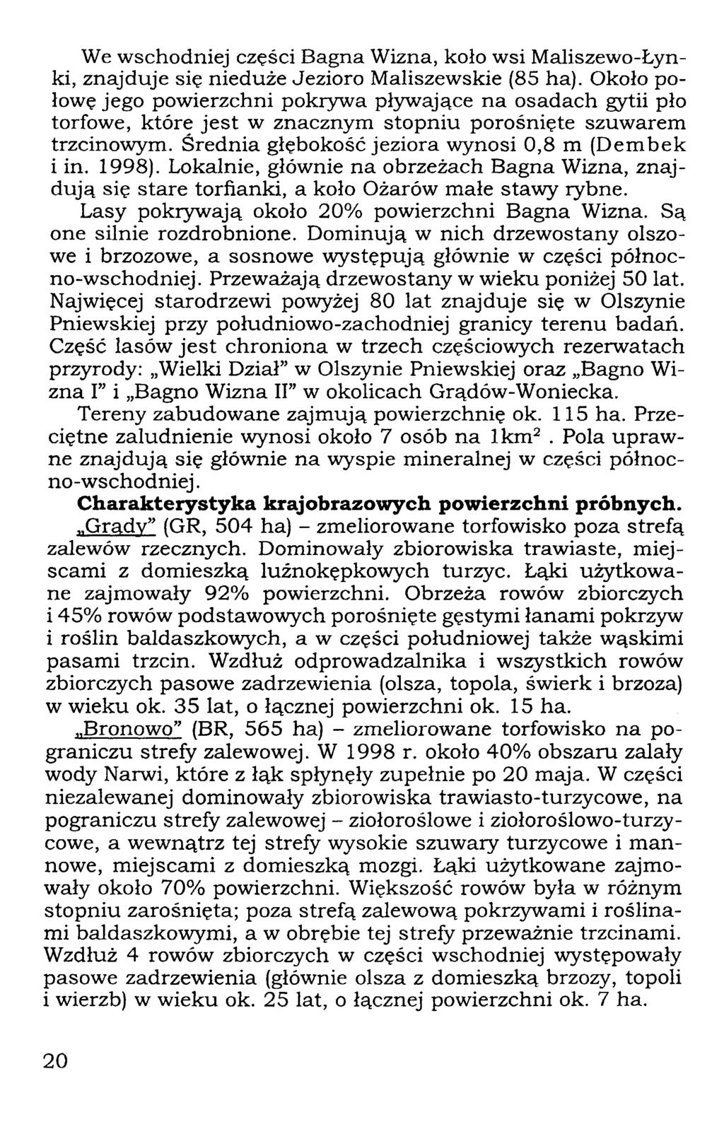 We wschodniej części Bagna Wizna, koło wsi Maliszewo-Łynki, znajduje się nieduże Jezioro Maliszewskie (85 ha).