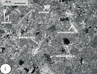 Stanienda 2014 / Gospodarka Surowcami Mineralnymi Mineral Resources Management 30(3), 17