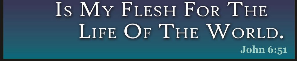 : after 7:15 & 8:30am Masses or by appointment Human Care Services: call rectory - Anyone in need of sacraments at home or in the hospital - Bereavement Ministry -