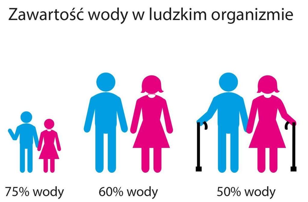 Woda stanowi podstawę funkcjonowania wszystkich organizmów. Nie można jej niczym zastąpid!