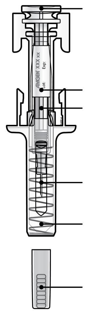 ampułkostrzykawki Cylinder ampułkostrzykawki Osłona zabezpieczająca ampułkostrzykawkę Sprężyna