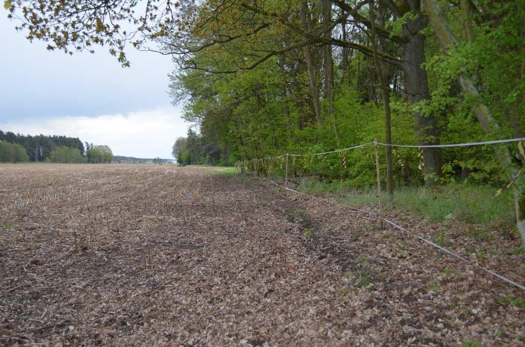 ZDJĘCIE NR 10. Grodzenie pola o pow. uprawy 9,54 ha p.