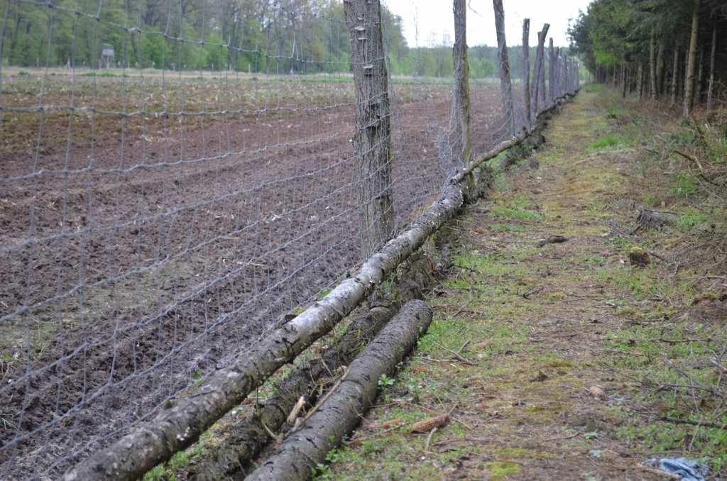 ZDJĘCIE NR 5. Grodzenie wykonano ze stalowej ocynkowanej siatki leśnej o wys. 2,5m (pole 7,14 ha).