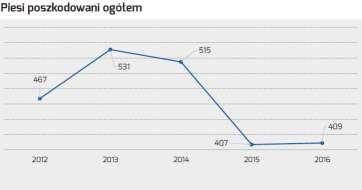 Ofiary śmiertelne wśród pieszych w 2016 r. to aż 61% wszystkich ofiar śmiertelnych.