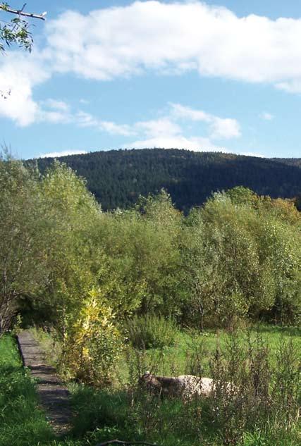 Głównym celem ochrony w obszarach Natura 2000 Kostrza, Luboń Wielki i Grota Zbójnicka na Łopieniu są: jaskinie, torfowisko i gołoborze oraz zbiorowiska leśne: żyzne buczyny, jaworzyny i bory bagienne.