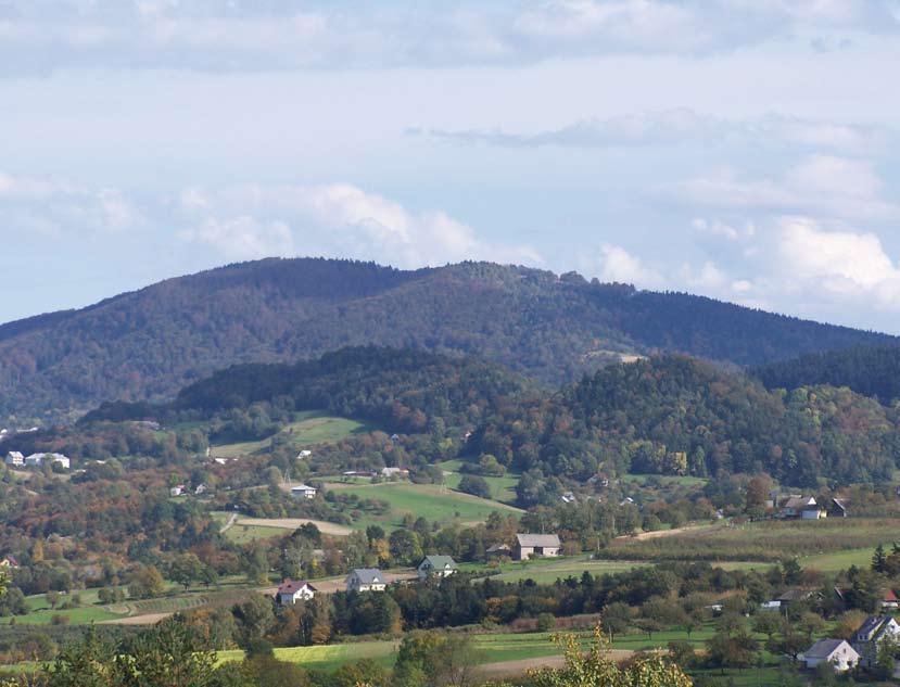 Natura 2000 w Karpatach KOSTRZA LUBOŃ WIELKI GROTA ZBÓJNICKA