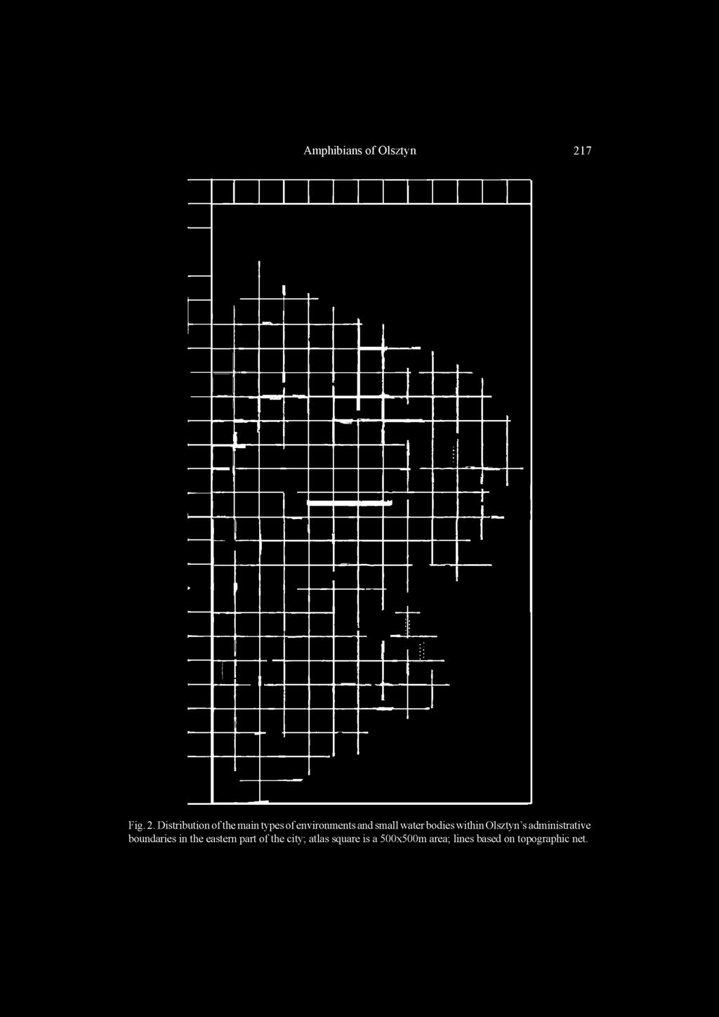 Distribution o f the main types o f