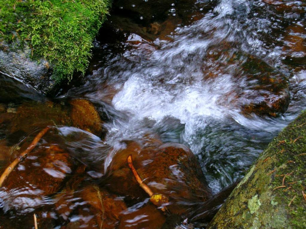 6 Rozdział I Ocena stanu ekologicznego rzek na podstawie badań