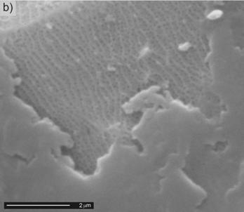 Morfologia powierzchni po teście tribologicznym: a) materiał T5W b) warstwa tlenkowa A consecutive dose increase up to 104 kgy, and it resulted in a 36% increase of the material's wear value, as