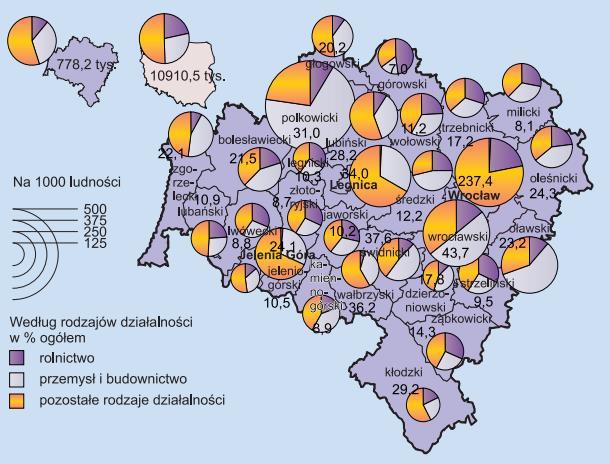 Sektory działalności/ zatrudnienia rynek pracy w woj.