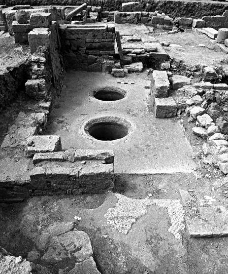 PLATE 5 Fig. 8. room r 59 with two circular vats (Photo Polish Archaeological Mission to Ptolemais). ryc. 8. Pomieszczenie r 59 z widocznymi dwoma okrągłymi zbiornikami.