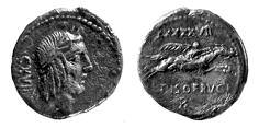 PLATE 32 Fig. 88. L. Calpurnius Frugi, denarius (inv. No. Cn/089/ 07) (Photo P. Jaworski).
