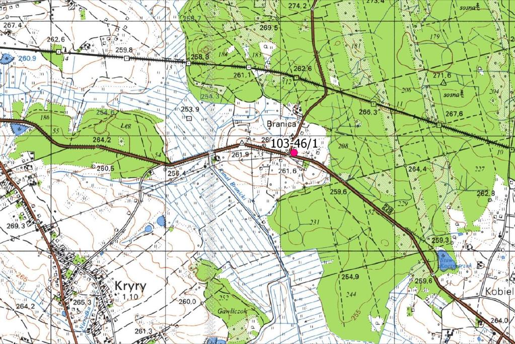 STANOWISKO ARCHEOLOGICZNE AZP 103-46/1 CZASY NOWOŻYTNE Wycinek mapy topograficznej