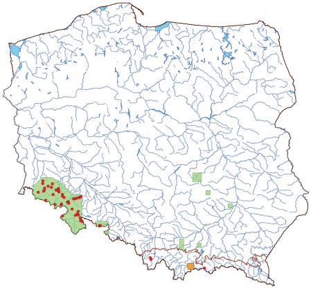 8220 Ściany skalne i urwiska krzemianowe ze zbiorowiskami z Androsacion vandelii występują z reguły bezpośrednio na powierzchni odsłoniętych skał. Gleby typu inicjalnego litosolu (Świerkosz i in.