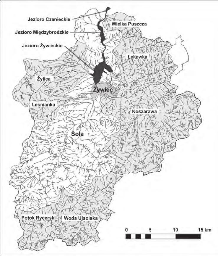 298 Robert Szczepanek, Włodzimierz Banach, Wiesław Gądek, Marek Bodziony,... Ryc. 1.