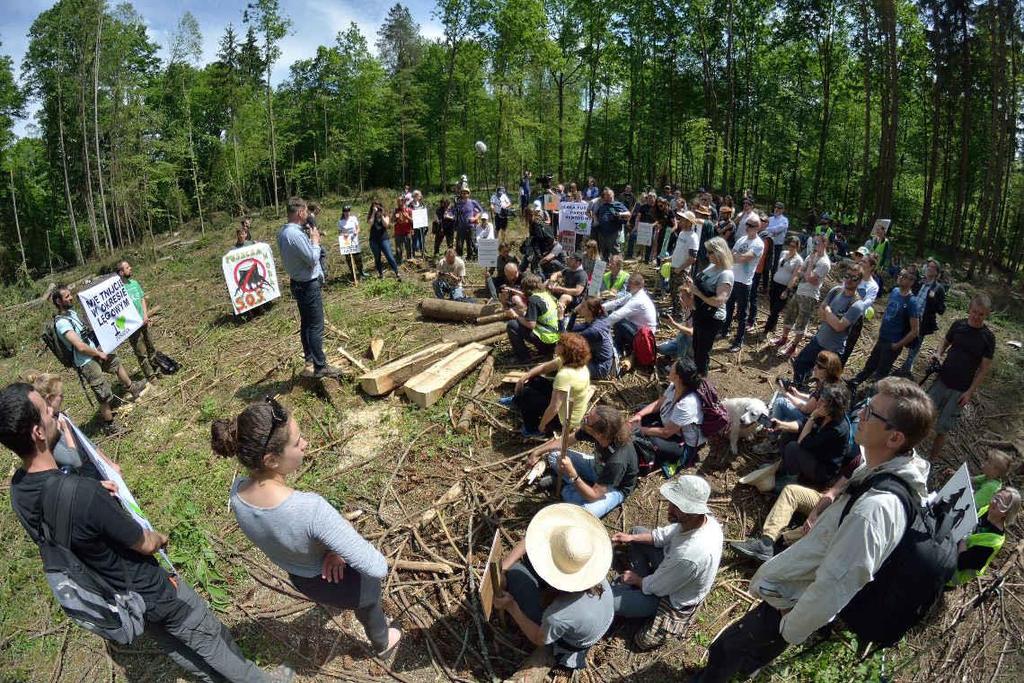 Wykład dr hab. Rafała Kowalczyka w ramach Akademii na Zrębie, Puszcza Białowieska, 3.06.2017. Fot.