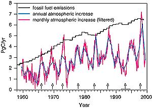 Los antropogenicznego CO2 Naturalne procesy asymilują znaczną część antropogenicznych emisji CO2,