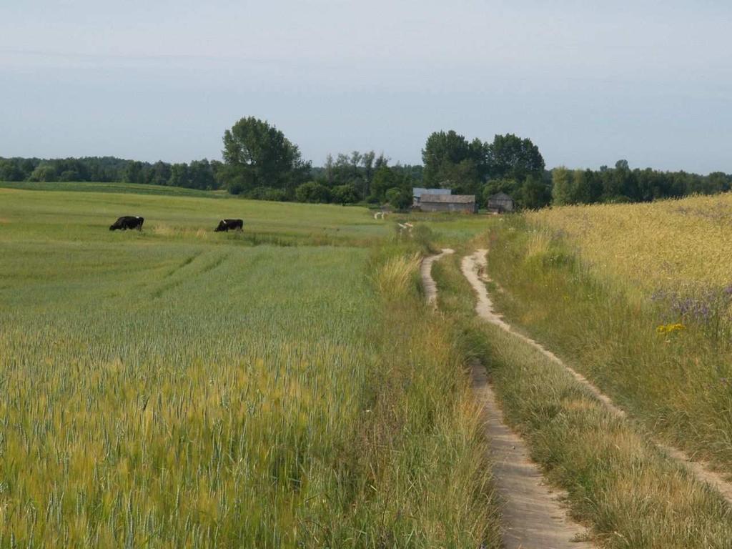 3. INWENTARYZACJA ZASOBÓW Wieś Nowy Stręczyn połoŝona jest w gminie Cyców. NieskaŜone środowisko powoduje, Ŝe w okolicy tej spotkać moŝna wiele gatunków ptactwa i dziką zwierzynę.