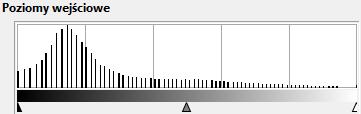 (doświetlonego) zdjęcia. Jest to ważne zarówno w przypadku zdjęd niedoświetlonych jak i prześwietlonych.