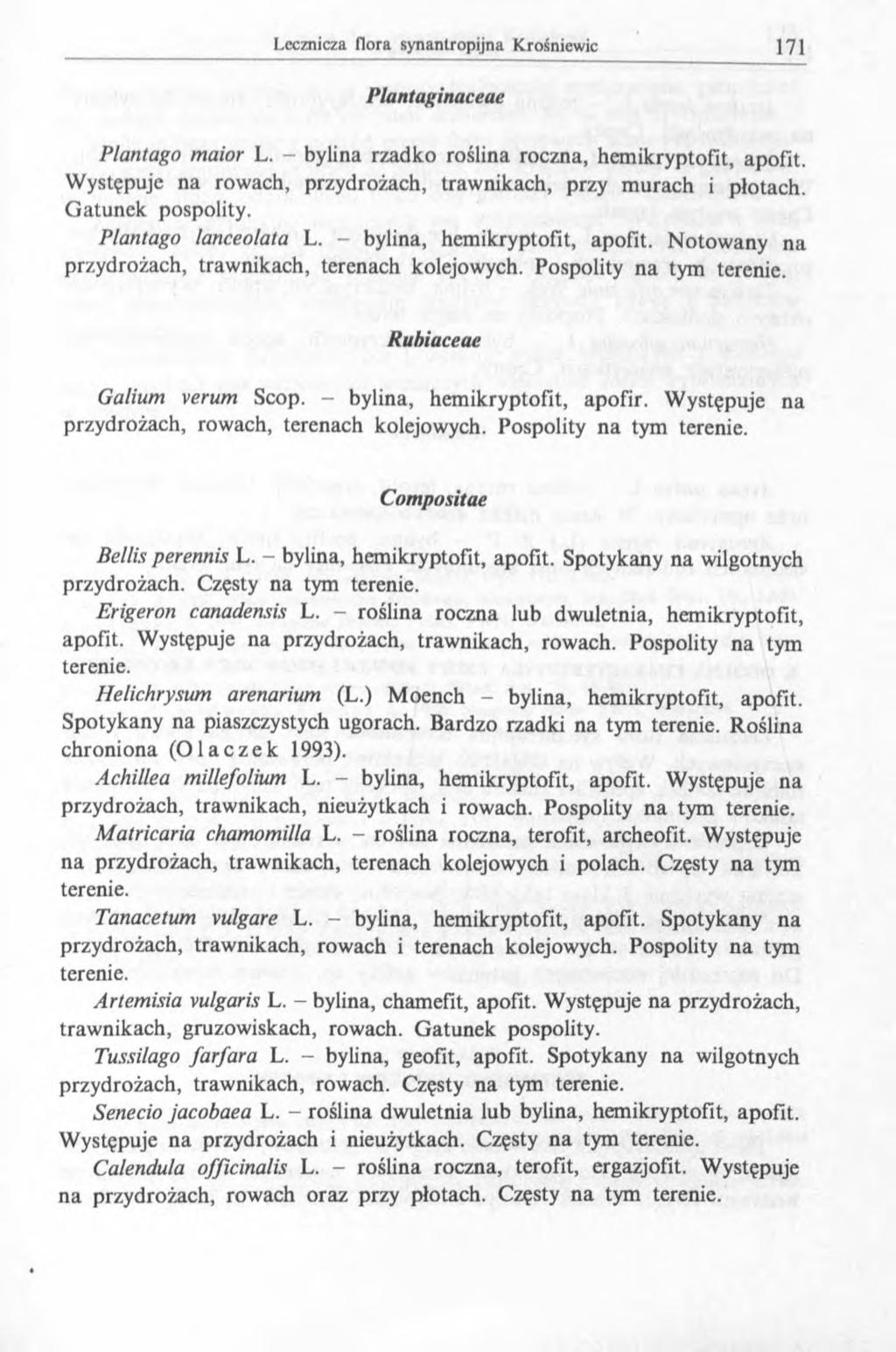 Plantaginaceae Plantago maior L. - bylina rzadko roślina roczna, hemikryptofit, apofit. Występuje na rowach, przydrożach, trawnikach, przy murach i płotach. G atunek pospolity. Plantago lanceolata L.