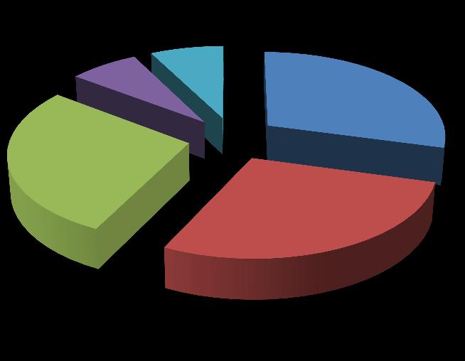 Udział głosów na WZA 7% 8% 29% Janusz Wystemp 28% Waldemar Joński Grzegorz Manelski 28% Pozostali Członkowie Zarządu Pozostali Akcjonariusze 1.