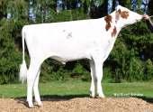 03.07.2012 PF: 119 TPI: 1942 O. Colt-P USA 000068731810 O.O. Lawn Boy USA 000133080890 M.O. Crystal USA 000063114952 115 137 Coloredo-P DEU 000355535940 115 134 M. Roxy USA 000068654494 O.M. Super USA 000062065919 M.