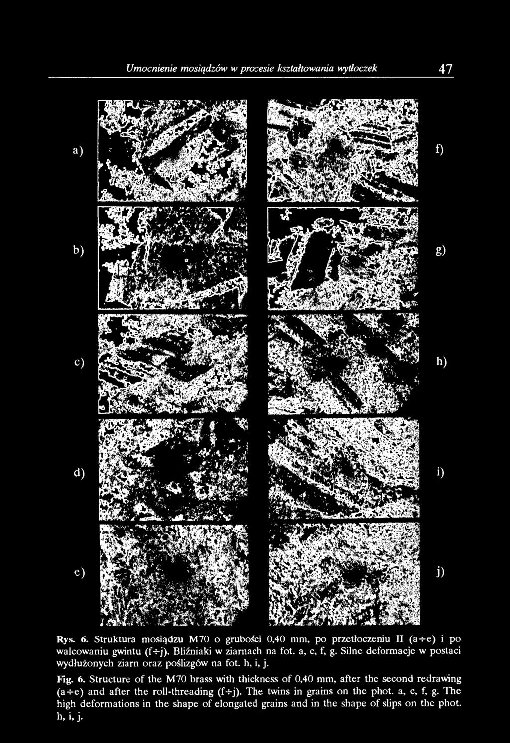 Silne deformacje w postaci wydłużonych ziarn oraz poślizgów na fot. h, i, j. Fig. 6.