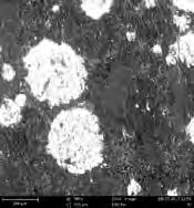 16 T R I B O L O G I A 1-2016 The area of the unmodified POM after friction (Fig.