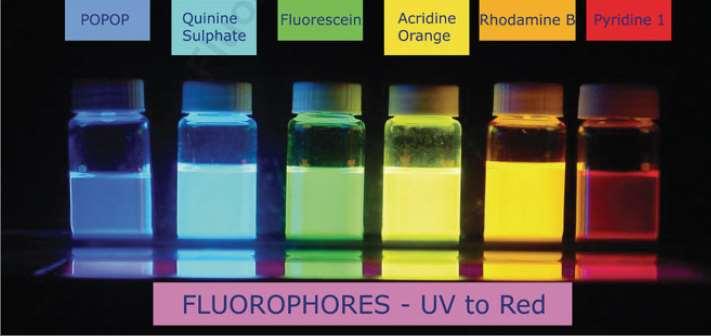 Fluorofory Zazwyczaj sa to cząsteczki organiczne